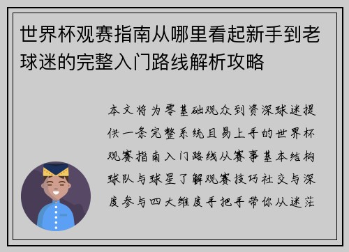 世界杯观赛指南从哪里看起新手到老球迷的完整入门路线解析攻略