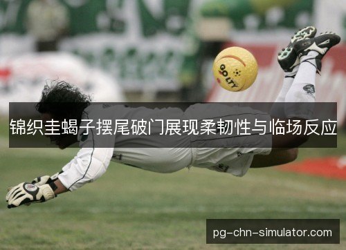 锦织圭蝎子摆尾破门展现柔韧性与临场反应
